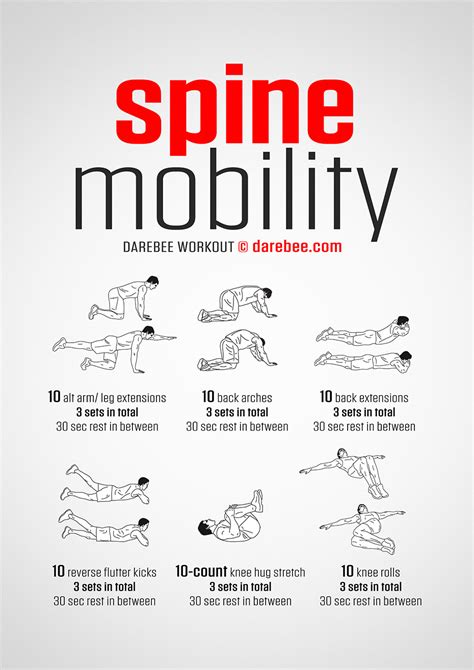 Spine Exercise Library .